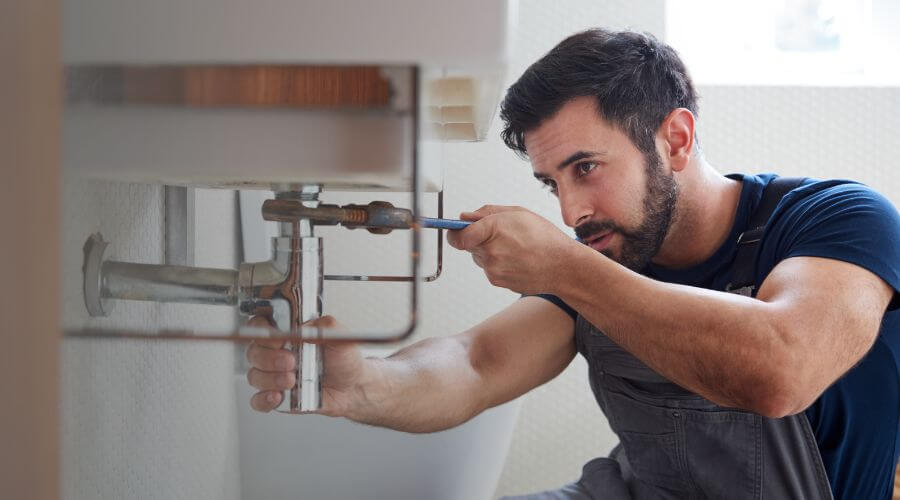 Trap Repair/Replacement in Britton, MI